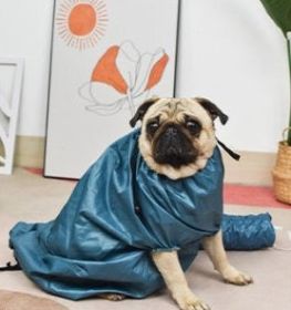 Automatic Drying Bag With Quick Drying Hair Dryer For Bathing (Option: S-Blue)